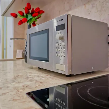 Purple Break Apartamento