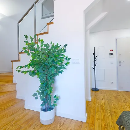 Apartamento Purple Break *