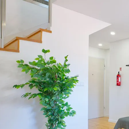 Apartamento Purple Break